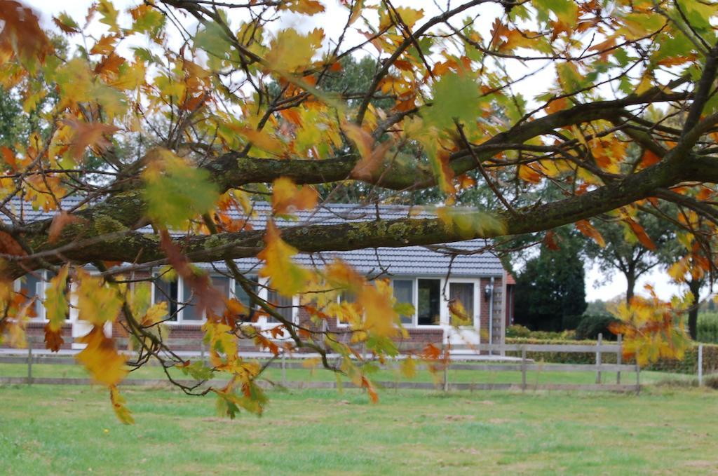 B&B Roodbeekerhof Vlodrop Buitenkant foto