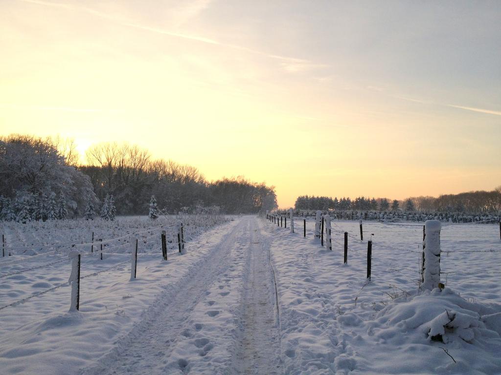 B&B Roodbeekerhof Vlodrop Kamer foto